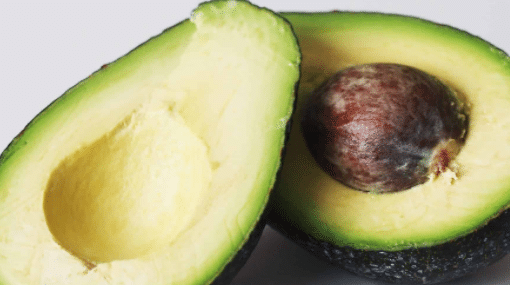 Avocados Fruits