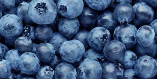 Blueberries Fruits