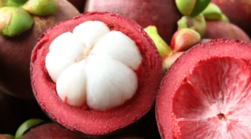 Mangosteen