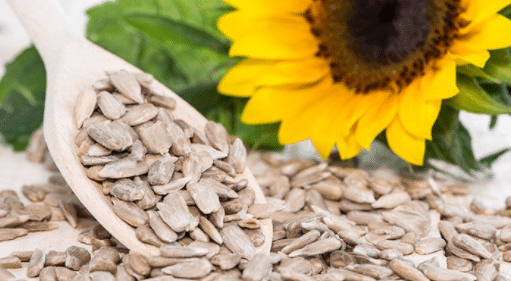 Sunflower Seeds