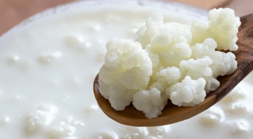 Yogurt and Kefir