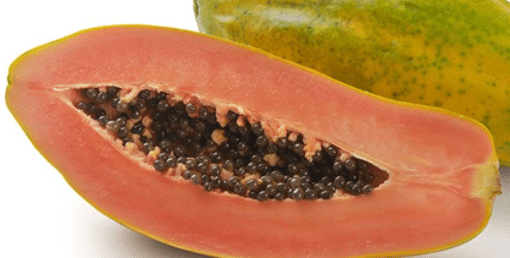 papaya fruit Fruits